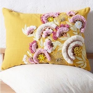Anthropologie Decorative Pillow